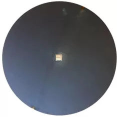 TÁRCSATÁNYÉR /BELLOTA/ SIMA