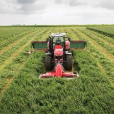 Massey Ferguson kaszák