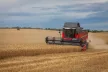 Massey Ferguson MF Activa S kombájn