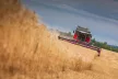 Massey Ferguson MF Beta kombájn