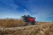 Massey Ferguson MF Beta kombájn