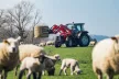 Massey Ferguson FL homlokrakodó széria