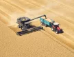 Massey Ferguson MF Ideal kombájn