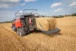 Massey Ferguson MF 2200 - Kocka bálázó